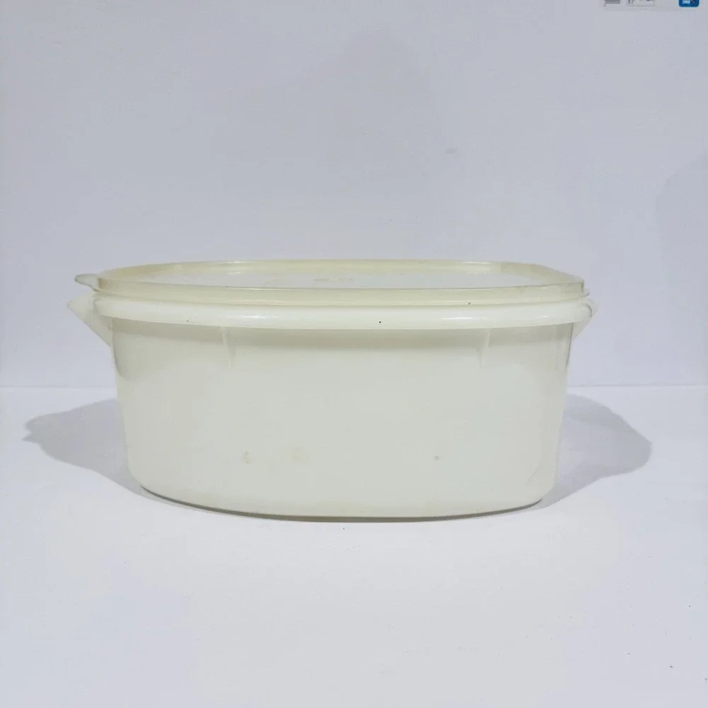 Vintage‎ Tupperware Roaster Flavor Savor Clear Plastic W Insert